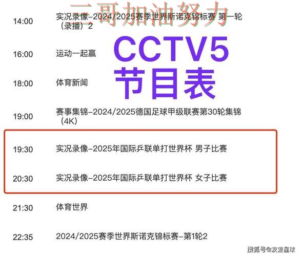 世界杯赛事中心背景下的世界杯买球平台实测对比与安全入口直播解析